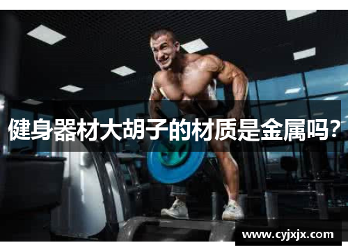 健身器材大胡子的材质是金属吗？