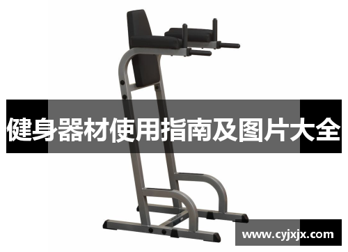健身器材使用指南及图片大全