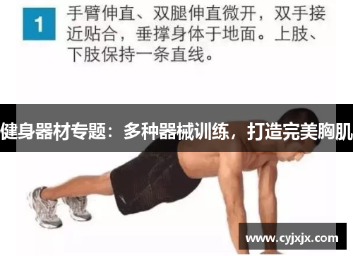 健身器材专题：多种器械训练，打造完美胸肌