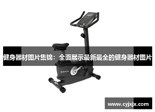 健身器材图片集锦：全面展示最新最全的健身器材图片